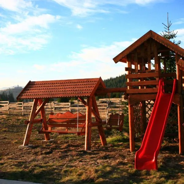 Pensiunea Muntele Alb, hotel in Horezu