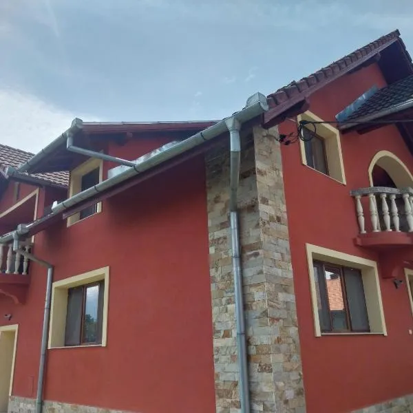 Serena House, hotel v destinaci Cîrţişoara