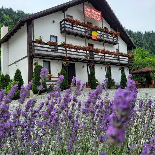 Casa Ursului, hotel in Vadu Moţilor