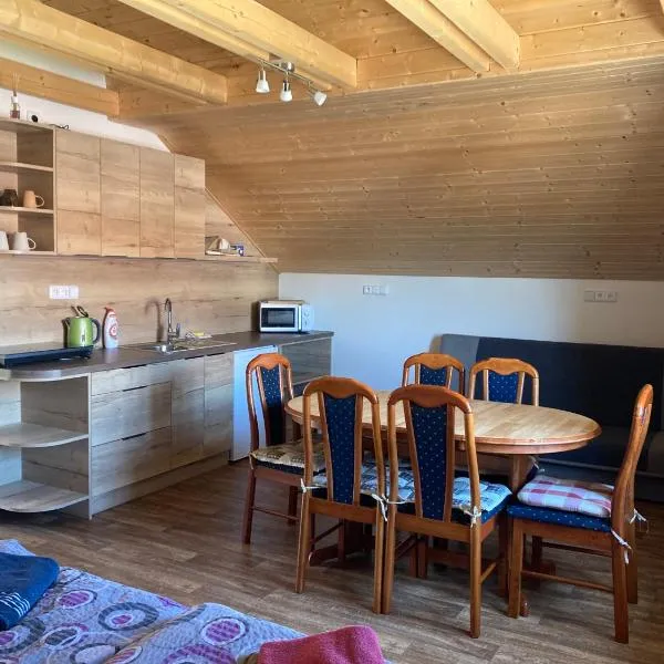 Vinný apartmán Pouzdřany, hotel v destinaci Pouzdřany