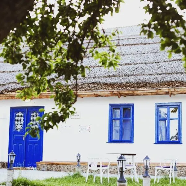 Pensiunea Casa Veche, hotell sihtkohas Palanca