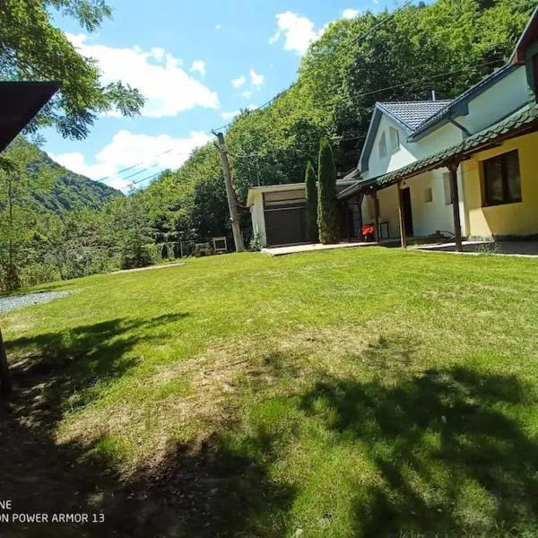 Someşu Cald में, होटल Tarnita Summer House