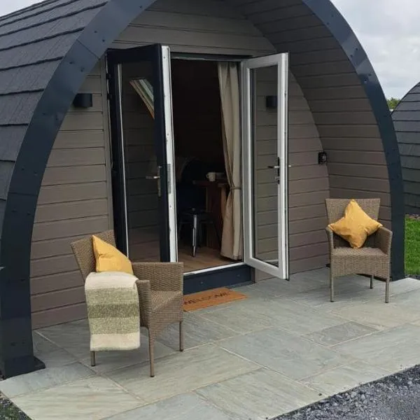 Leahys Pod Park, hotel a Cork