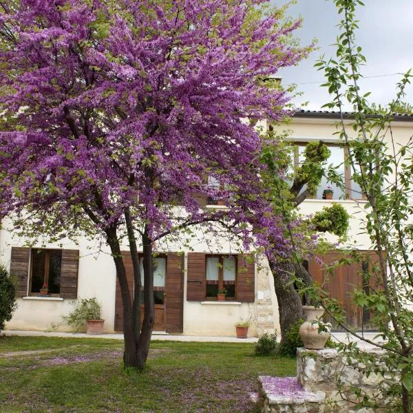 B&B Altè, hotel in Paderno del Grappa