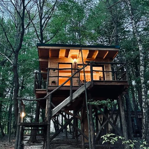 Living Forest Resort, hotel v destinaci Moravske Toplice