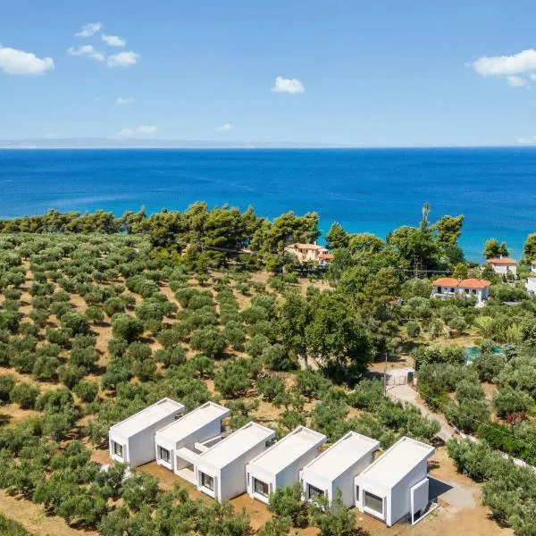 Olea Villas by halu!, Cozy villa in Nikiti, khách sạn ở Lagomandra