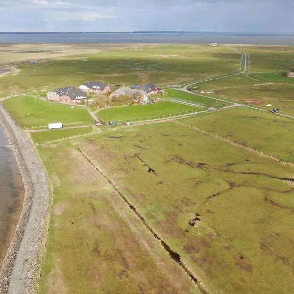 Hallig Hüs, hotel in Langeneß