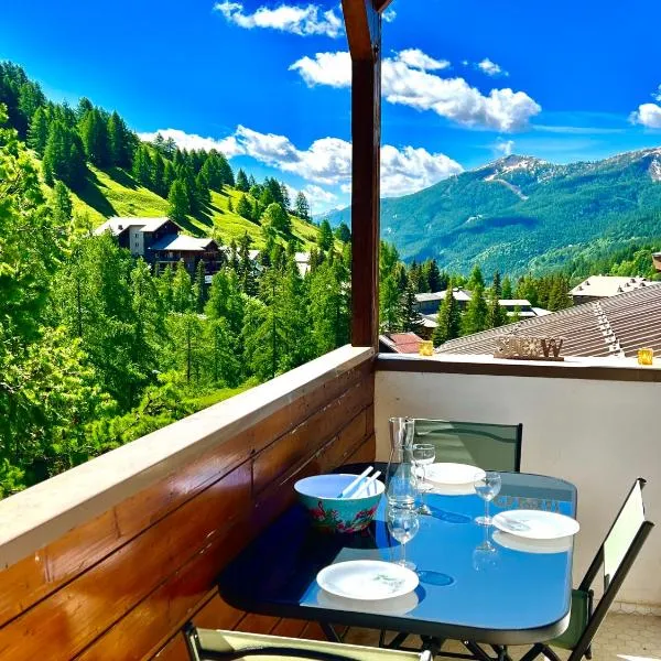 Appartement familial Duplex La Foux d'Allos au pied du télésiège, hotel in Allos