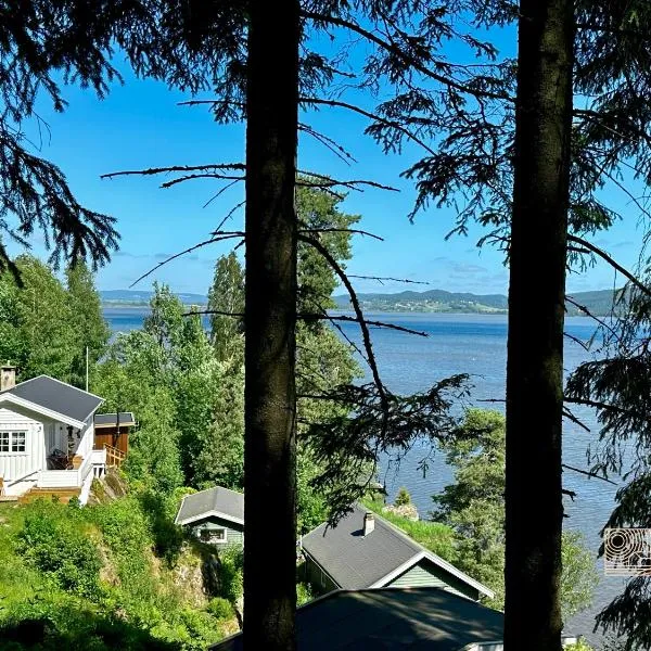 Close to nature cabin, sauna, Øyeren view, Oslo vicinity, hotel in Hektner