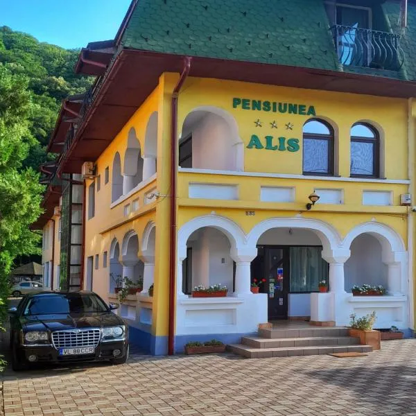 Pensiunea Alis – hotel w mieście Caciulata