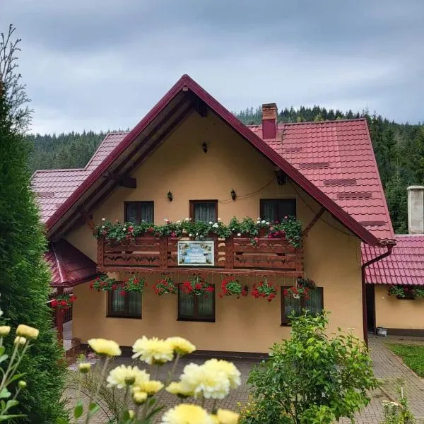Casa Ursuleasa, hotel v destinaci Ciumîrna