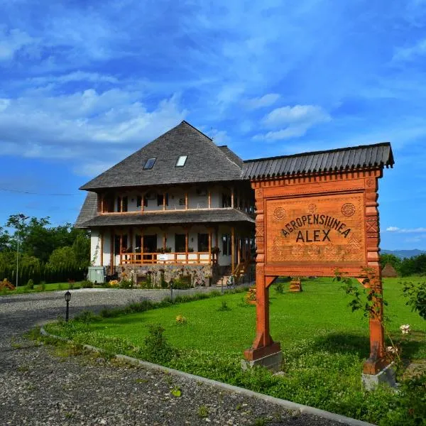 Agropensiunea Alex, hôtel à Ocna Şugatag