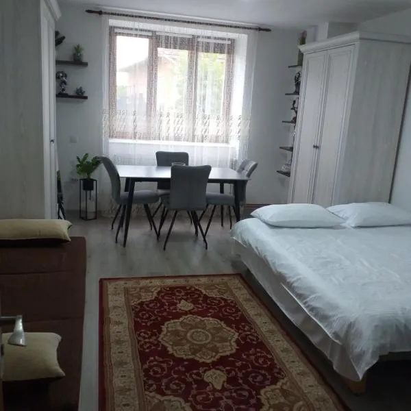 Fully Furnished Studio, hotel v destinaci Sighetu Marmaţiei