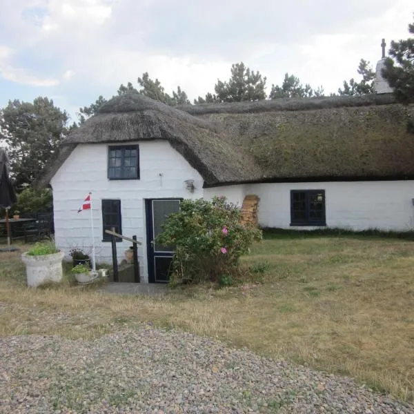 히비드 산드에 위치한 호텔 Apartment Holmsland