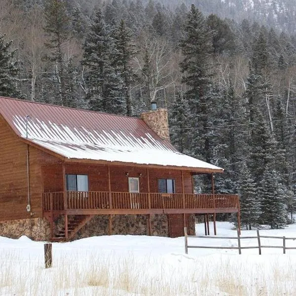 Artz Valley Cabin - WiFi - Satellite - Washer - Dryer - Wrap Around Deck - Wood Burning Fireplace - Secluded Setting、レッドリバーのホテル