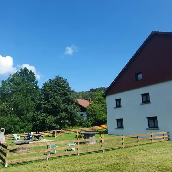 appart lièvre 4 étoiles, hotel em Cornimont