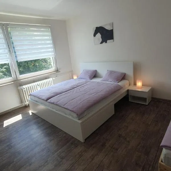 Apartmán Broumov, hotel in Broumov