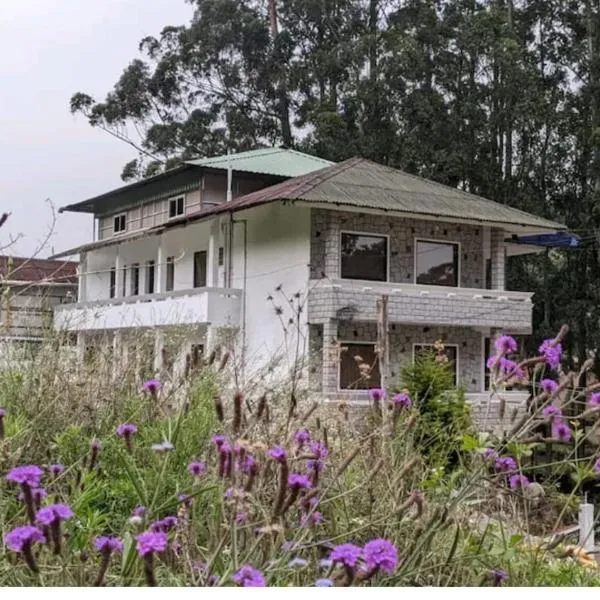 ์ฝ๋ค์ด์นด๋ ์ ์์นํ ํธํ
Tree Elanza