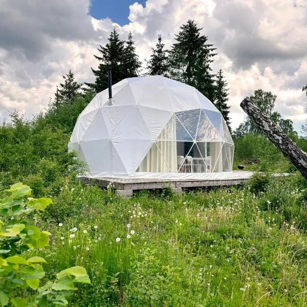 Bubble House glamping telk, hótel í Sõmeru
