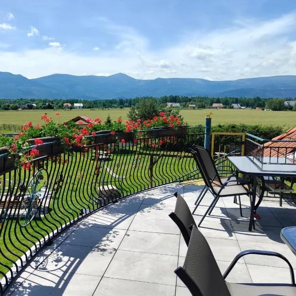 Willa Kolorowa Chata 6 km Od Karpacza, Hotel in Mysłakowice