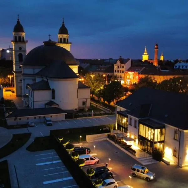 The Dome Hotel, hotel in Satu Mare