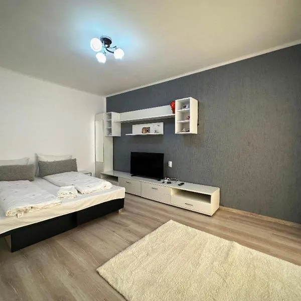 Apartament Dya HATEG 9, hotel in Haţeg