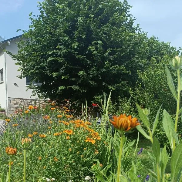 Le domaine de Moïse – hotel w mieście La Fouillade