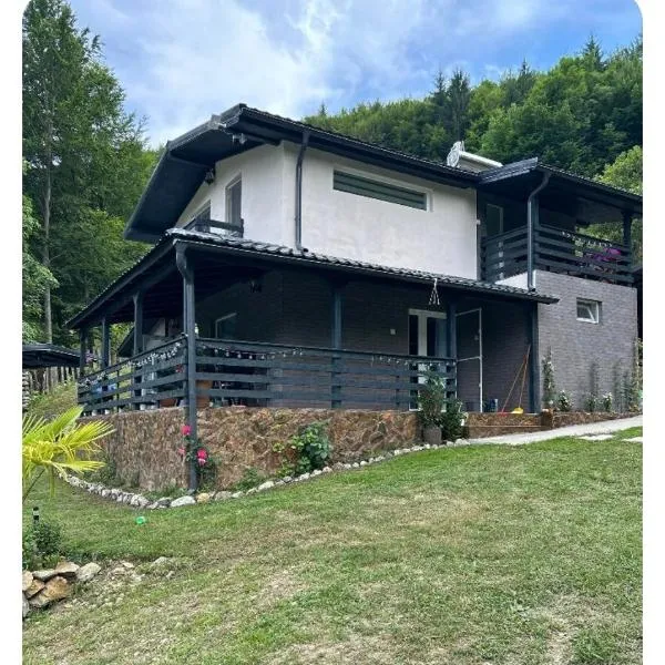 VILA Ade, hotel v destinaci Padeş