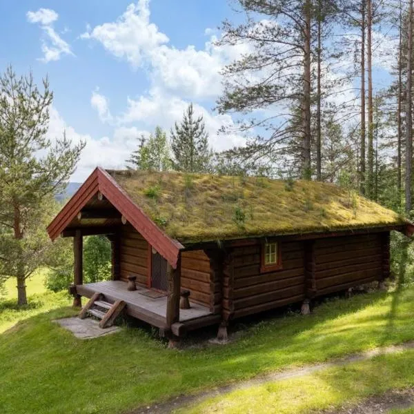 Skogcamping, hotel v destinaci Bjørnstad