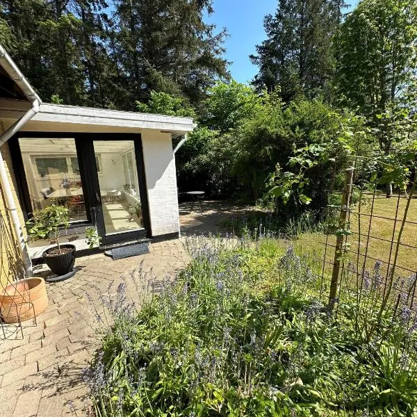루켄에 위치한 호텔 Large room with balcony at the edge of the forest