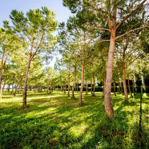 Agriturismo Bio San Mamiliano, hotel v destinaci Grosseto