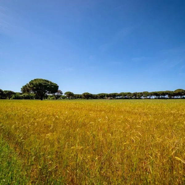 Agriturismo Bio Femminella, hotel v destinaci Principina a Mare