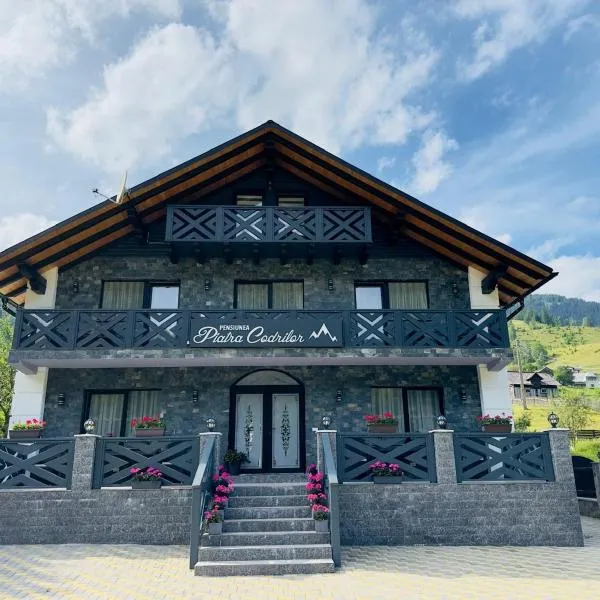 Piatra Codrilor、ドルナ・アリニのホテル