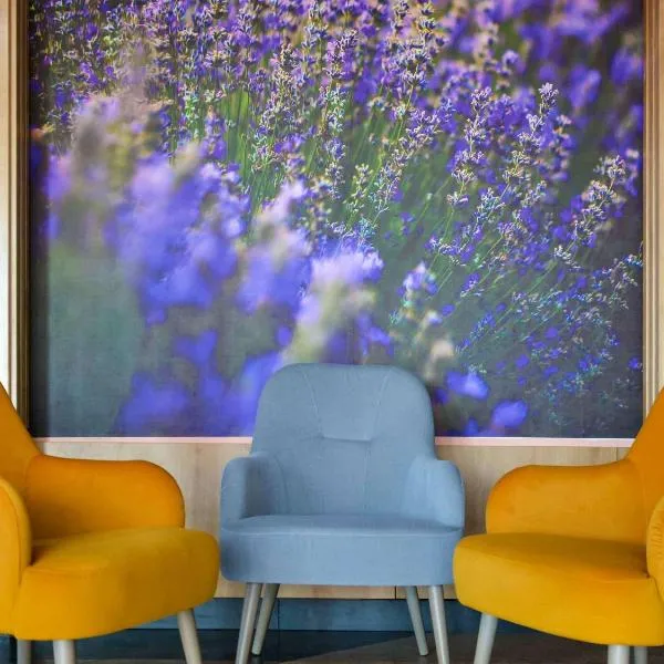 Mercure Medias Binderbubi Hotel And Spa, hotel v destinaci Mediaş