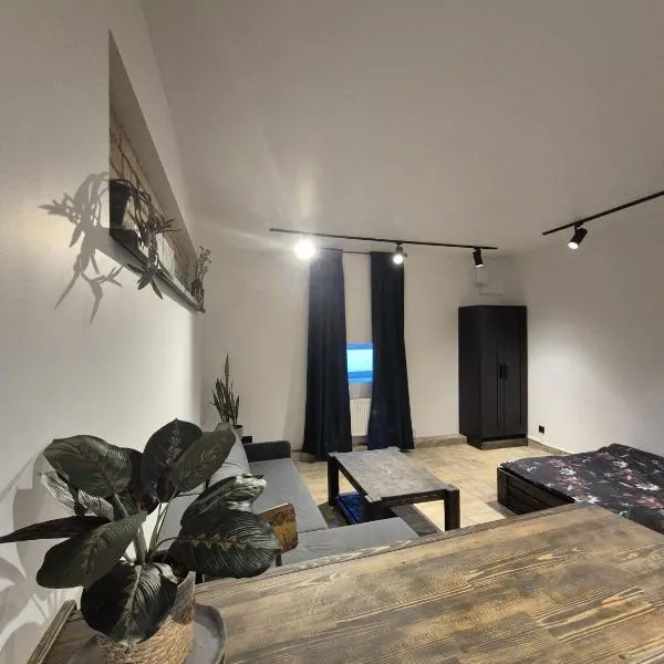 Zvaigžņu Apartment, hotel v destinaci Ogre