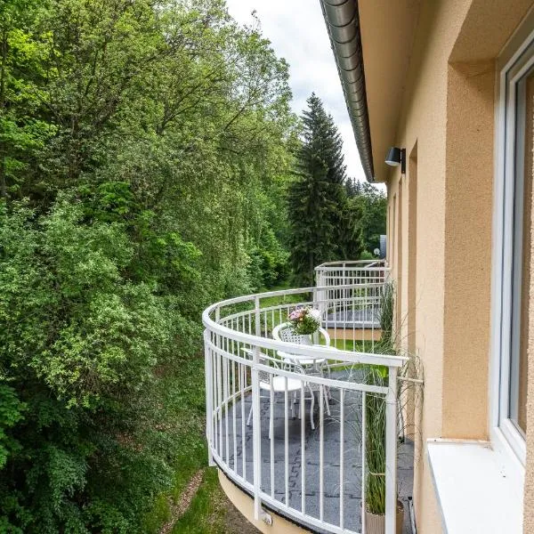 Forest Apartment with Sauna, hotel a Jáchymov