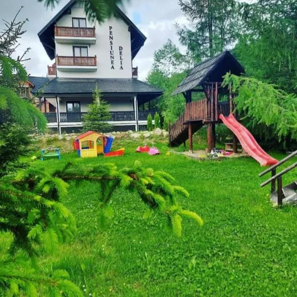 Pensiunea Delia, hotel v destinaci Vatra Moldoviţei