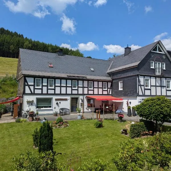 Ferienwohnung Soreth, Hotel in Schmallenberg