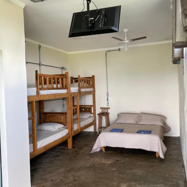 Suite Lobo Guará - Foto 2