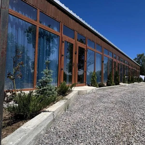 Kambodzha na Dynae, hotel v destinaci Vylkove