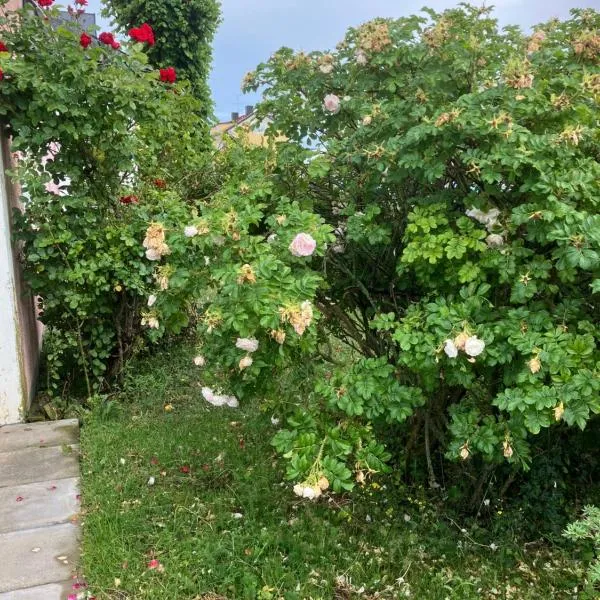 Borgholm Centralt, hotel v destinaci Borgholm