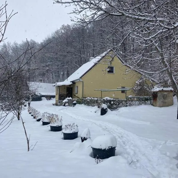 Chalupa Jája a Pája Tomíkovice, hotel em Jeseník