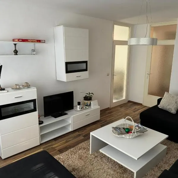 Family stay apartment Share, hotel in Sarajevo
