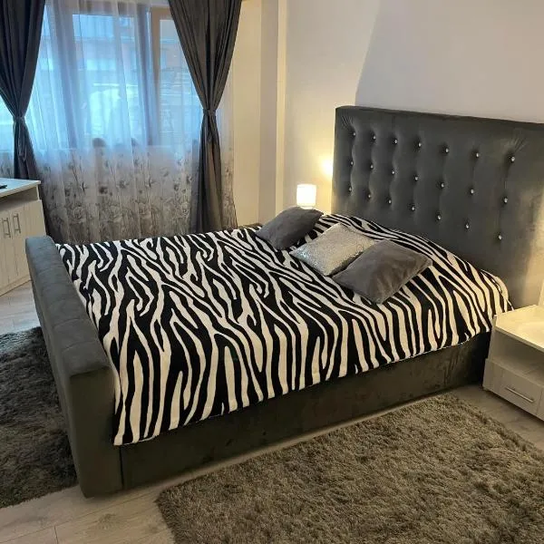 Apartament NECTARIA, ξενοδοχείο σε Băile Herculane