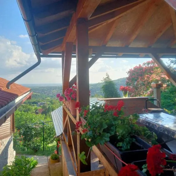 Apartment Noletov vidikovac, hotel in Vrdnik