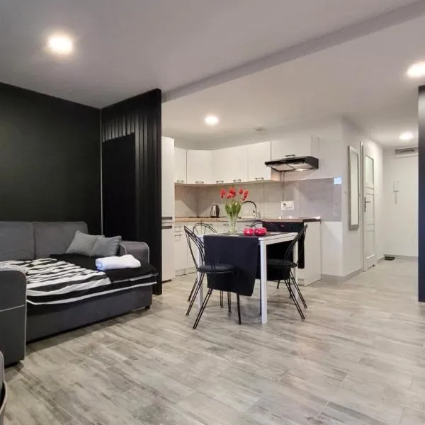 Apartamenty Parkowe nr 7, hotel in Kwidzyn