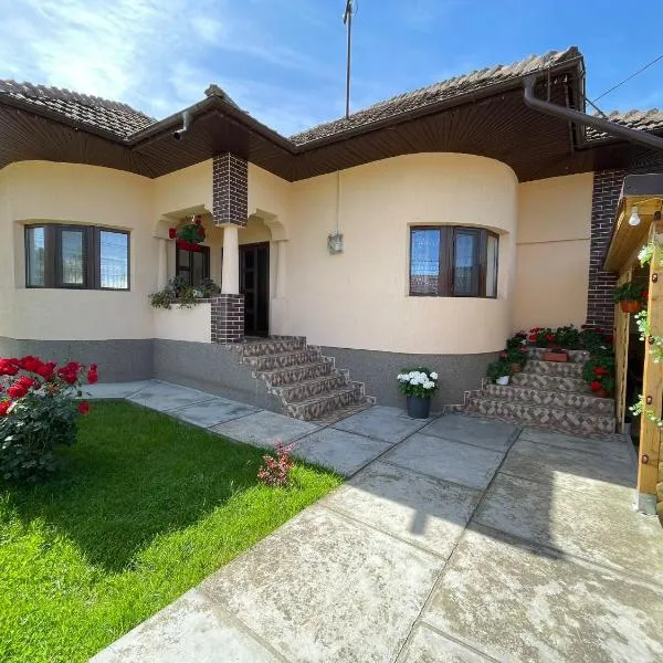 Pensiunea CAV, hotel in Novaci