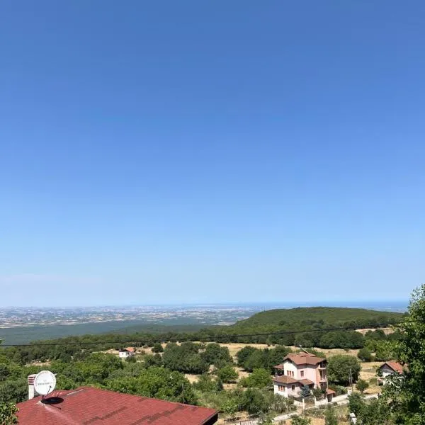 Ψητοπωλείο καφέ ενοικιαζόμενα δωμάτια, hotel din Pétra