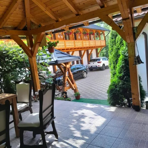 Pensiunea Malinul, hotel v destinaci Bîrsana