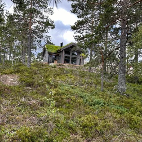 Moderne Fjellhytte Gautefall med Utsikt, viešbutis mieste Drangedal